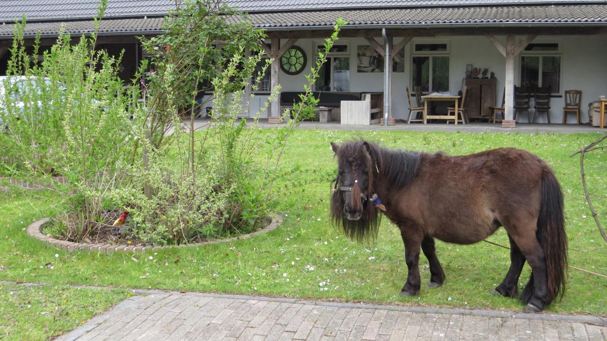Hoeveheikant Lage Mierde Exteriör bild